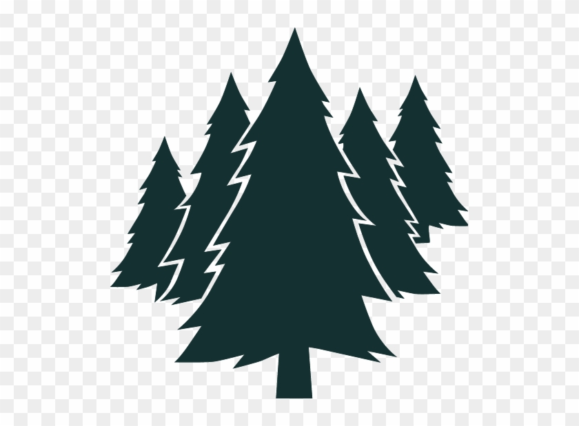 Evergreen - Odoo #1039554