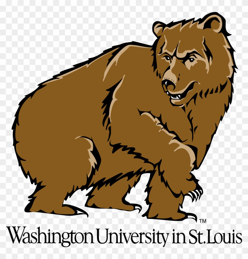 Washington Bears Logo Black And White - Washington University In St Louis #1039654