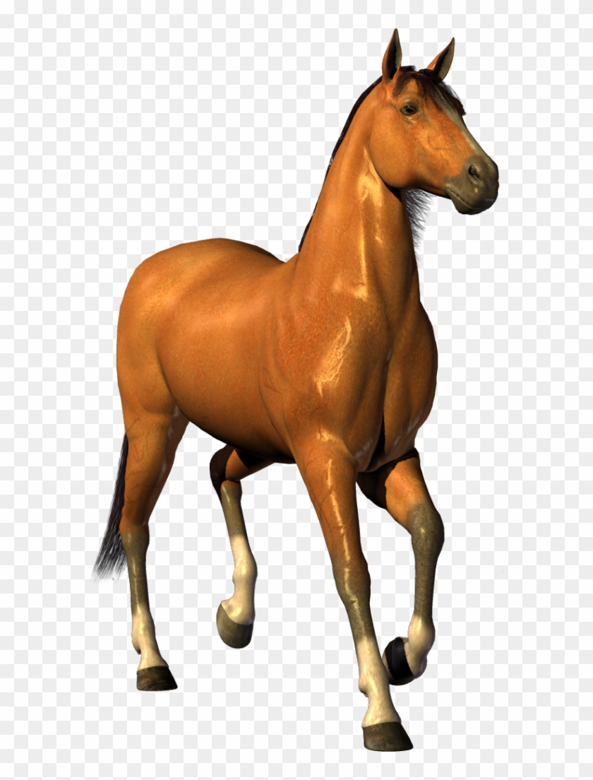 Horse - حصان Png #1039762