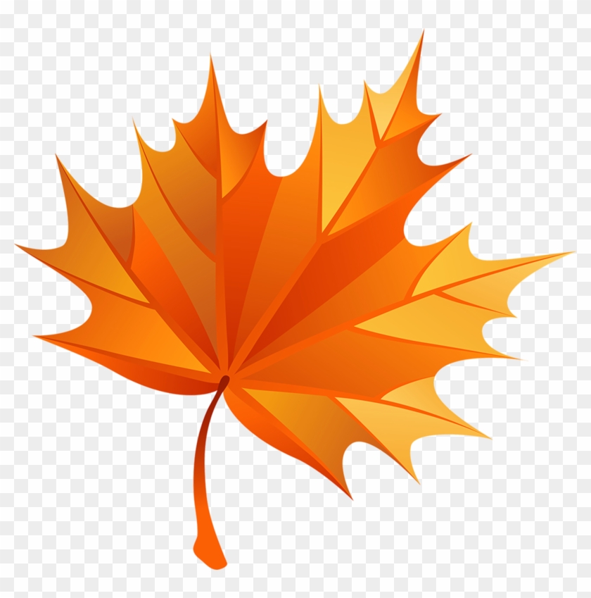 Fall Clip Art - Design #1039910