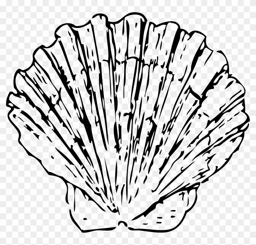 Scallop Shell Clip Art Download - Black And White Shell #1040186