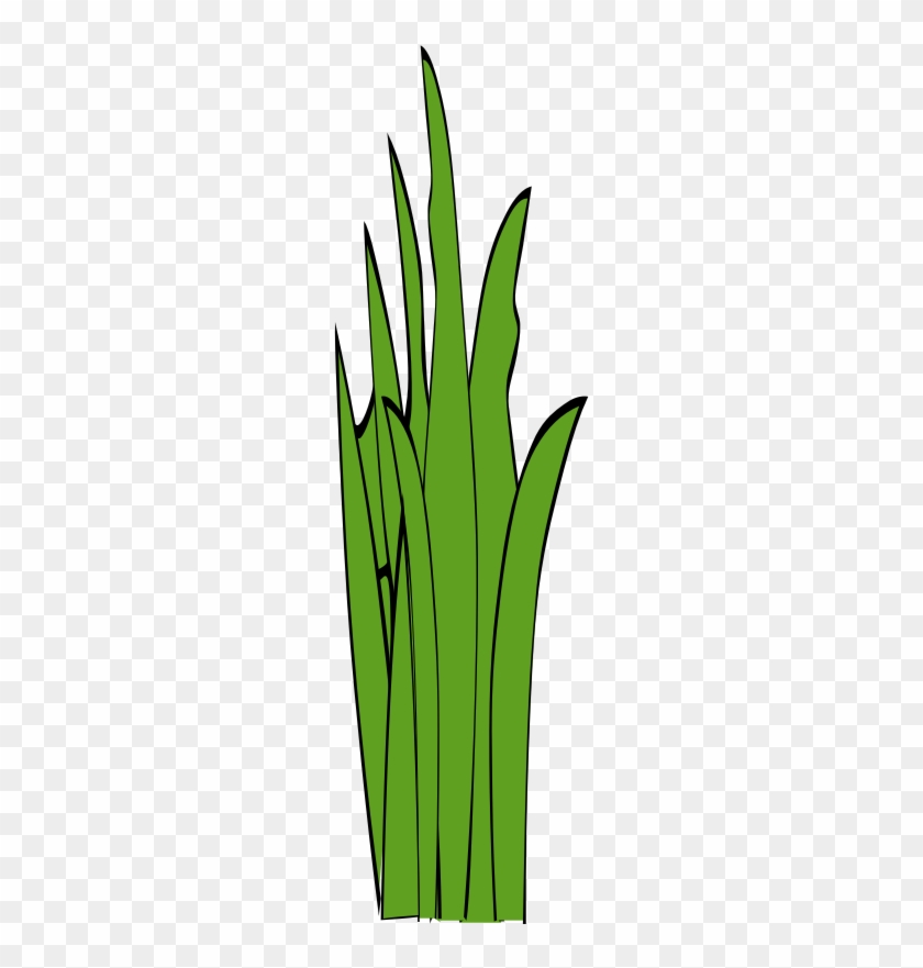 Grass Pictures Clip Art Clipartsco - Grass #1040581