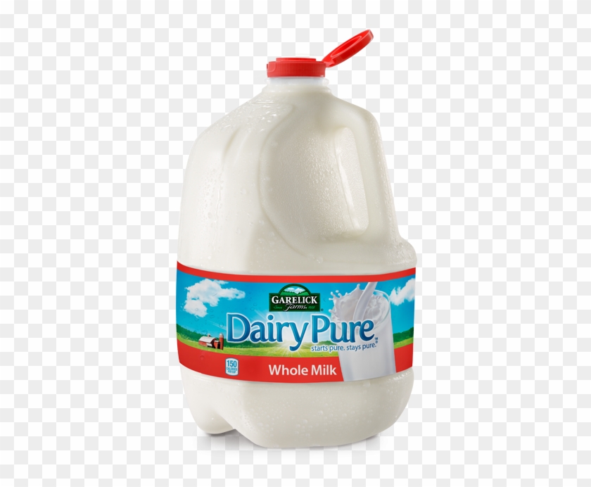 Whole - Milk - Gallon - Dairy Pure Whole Milk #1040610