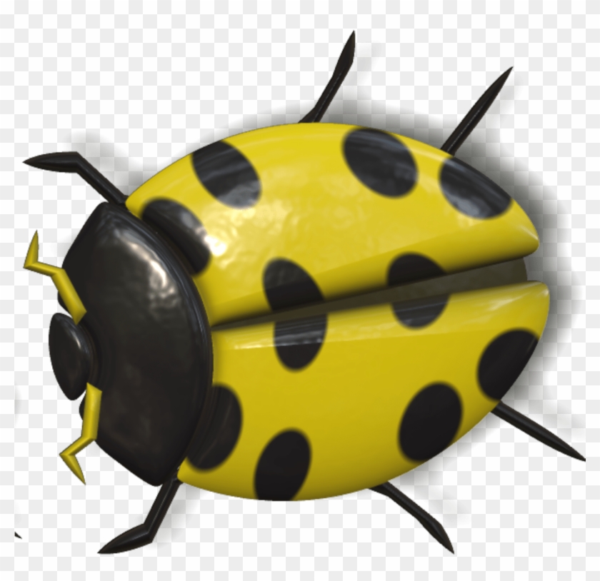 Ladybug Yellow And Black - Yellow Ladybug Png #1040637