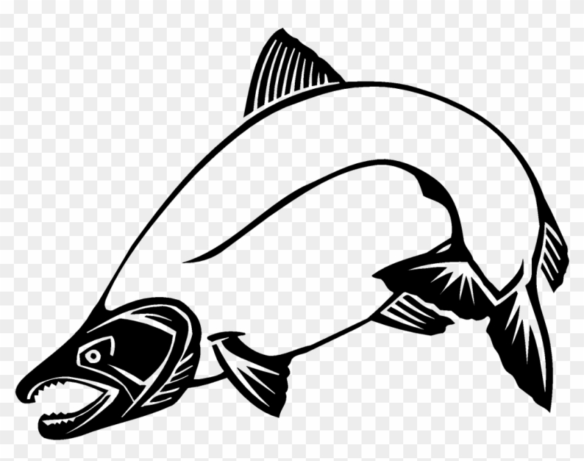 Chinook Salmon Clip Art - Coho Salmon Clip Art #1040828