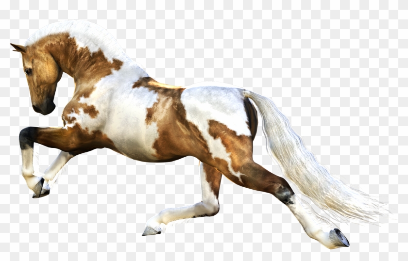 Horse Running Png #1041412