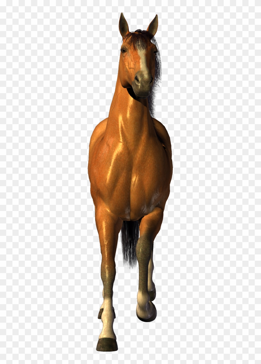 Horse Fifty-three - Png Horse #1041415