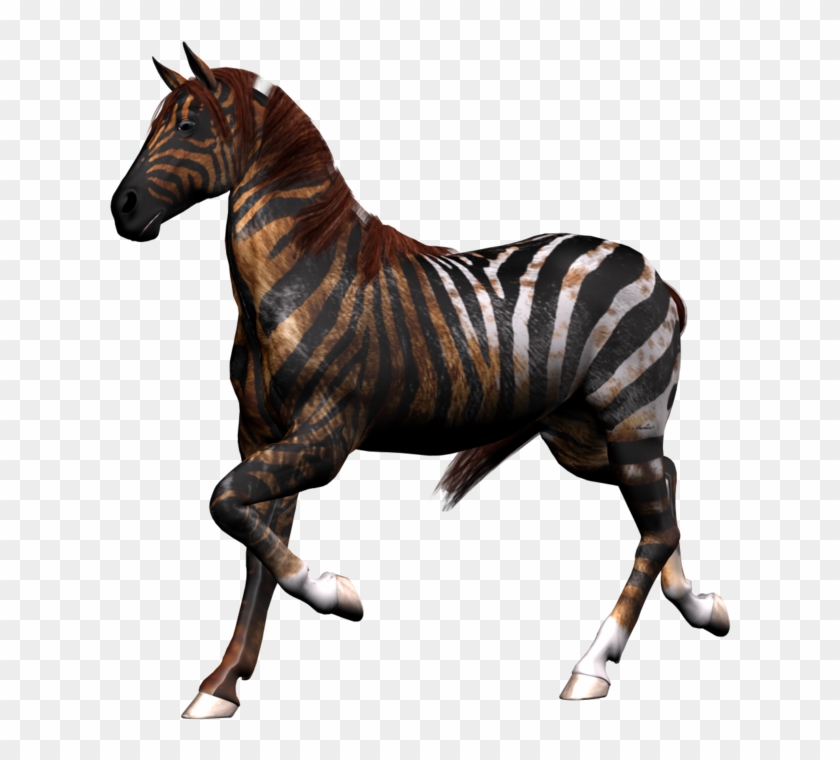 Fantasy Horse Png Stock 2 By Direwrath - Horse #1041417