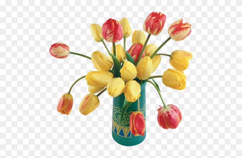 Png Lale Resimleri, Tulip Png Pictures - Feliz Cumpleaños En Portugues #1041455