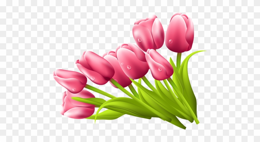 Png Lale Resimleri, Tulip Png Pictures - Imagenes De Flores Tulipanes #1041460