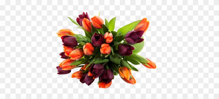 Png Lale Resimleri, Tulip Png Pictures - Beautiful Flowers Bouquet Hd #1041462