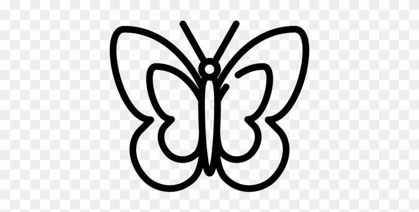 Big Butterfly Vector - Insect #1041467