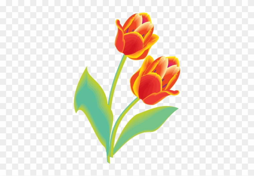 Png Lale Resimleri, Tulip Png Pictures - Tulip Clip Art #1041468