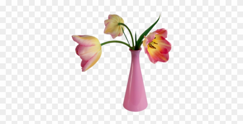 Pink Vase-3tulips - Happy Valentine's Day Card #1041505
