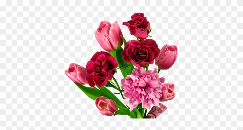 Png Lale, Png Tulips, Png Lale Resimleri, Png Tulips - Buon San Valentino Gif #1041525