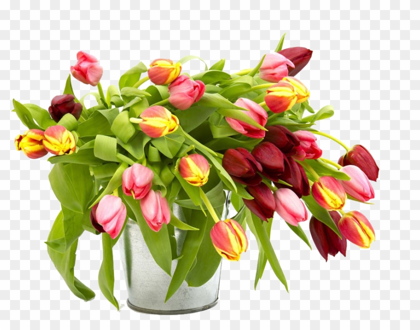 Floral Design Tulip Flower Bouquet Stock Photography - Tulip #1041537