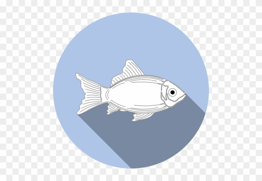 Fish,allergy,food,no - Kind Of Fish Is Made Of Two Sodium Atoms #1041699