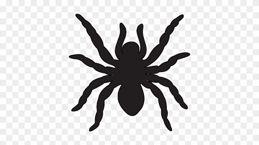 Upload - Spider Name Tags #1041718