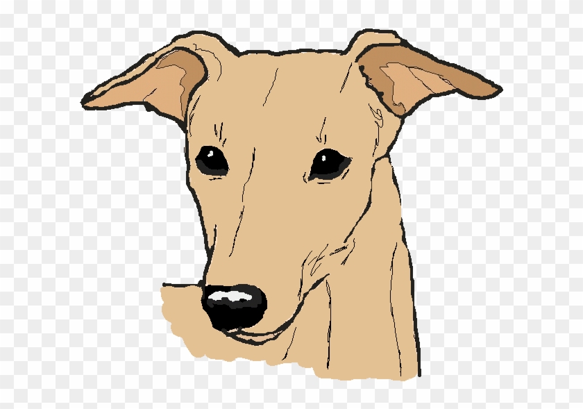 Greyhound Clipart - Whippet #1041828