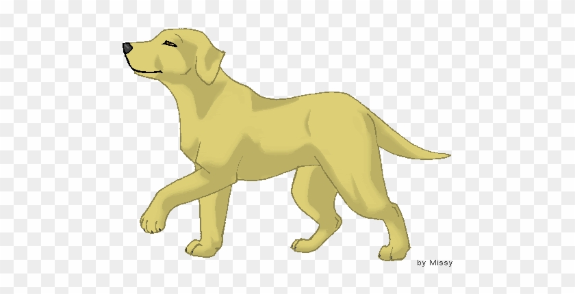 Yellow Lab Dog Clipart - Yellow Lab Dog Clipart #1041835