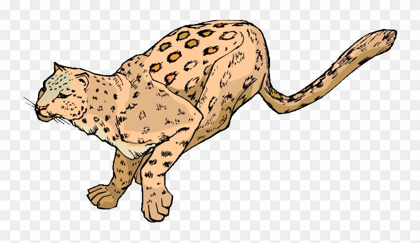 Leopard Clipart Gif Transparent - Leopard Clipart Transparent Background #1041838