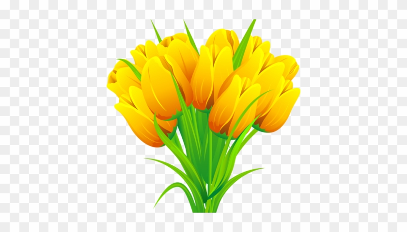 Yellow Tulip Clip Art - Spring Tulip Clip Art #1042192