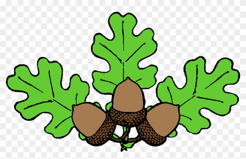 Our Curriculum - Oak Leaf Clip Art #1042197