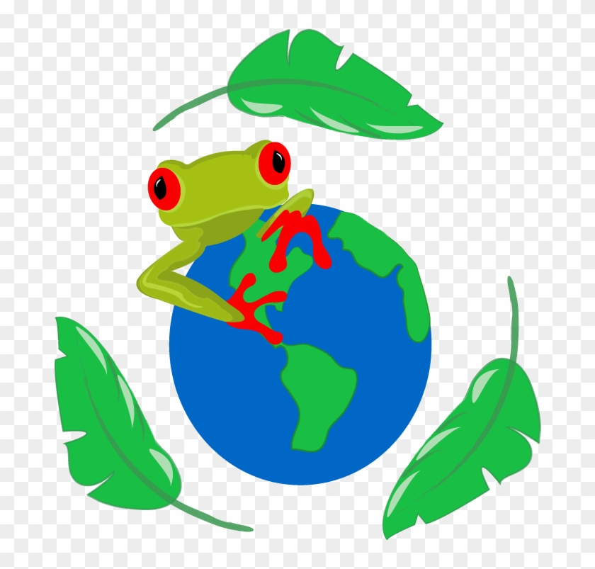 Curriculum Vitae - Red-eyed Tree Frog #1042198