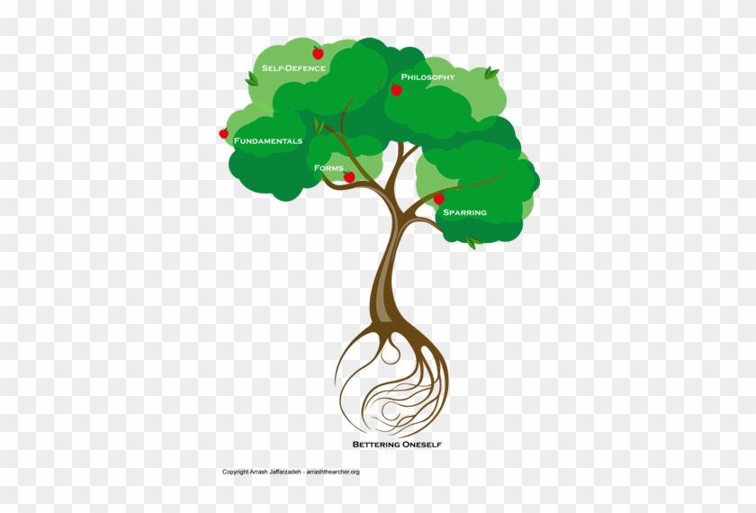 Curriculum Tree - Illustration #1042199
