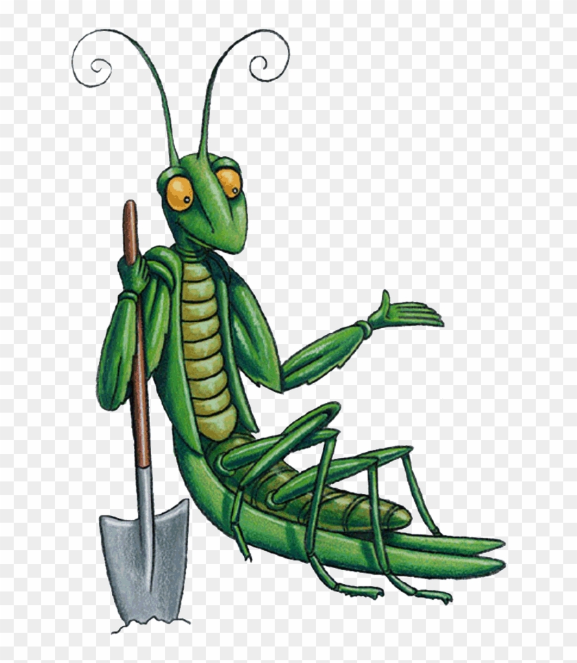 Mantis - Jmg Character - Junior Master Gardener #1042291