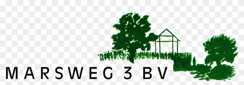 Curriculum Vitae - Tree #1042311