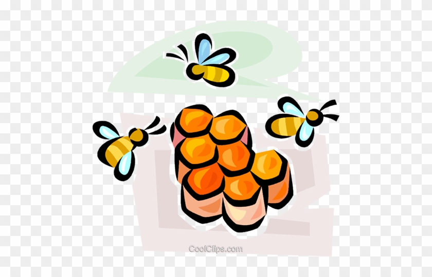 Honeybee And Honeycomb Royalty Free Vector Clip Art - Honey Bee Clip Art #1042467