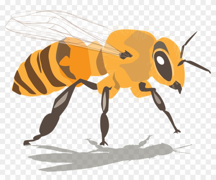 Honey Bee Illustrations 22, Buy Clip Art - Bee #1042484
