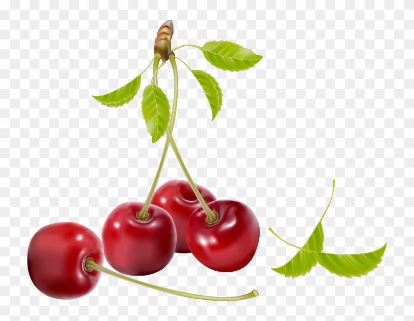 Yogurt Cherry Royalty-free Clip Art - Vector #1042643