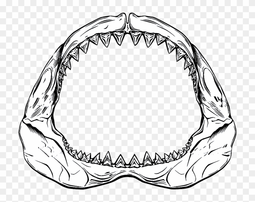 Depositphotos 7307828 Shark Jaw - Shark Jaw Drawing #1042770