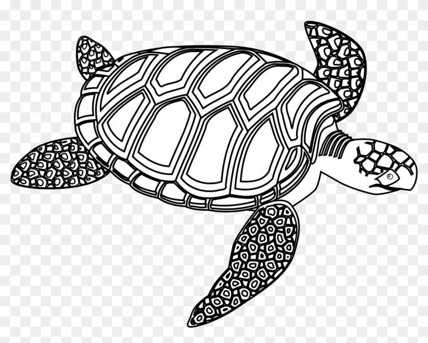 Sea Turtle Clipart Black And White Free - Turtle Black And White #1042829
