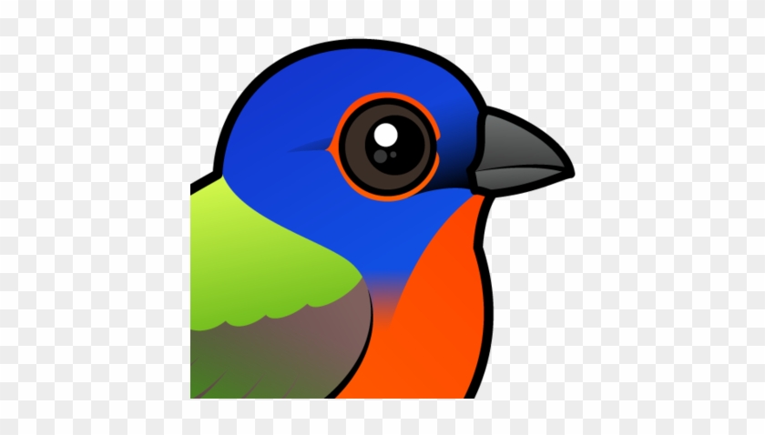 About The Painted Bunting - Cartoon Painted Bunting #1043019