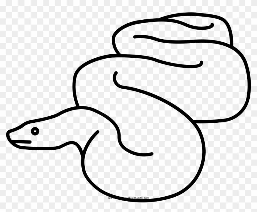 Anaconda Coloring Page - Anaconda Para Colorear #1043060