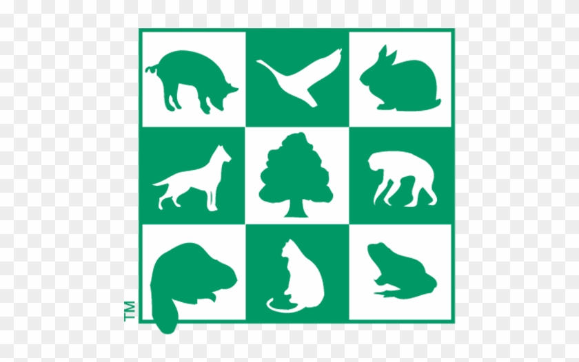 Creature Clipart Canada Animal - Animal Alliance Of Canada #1043389
