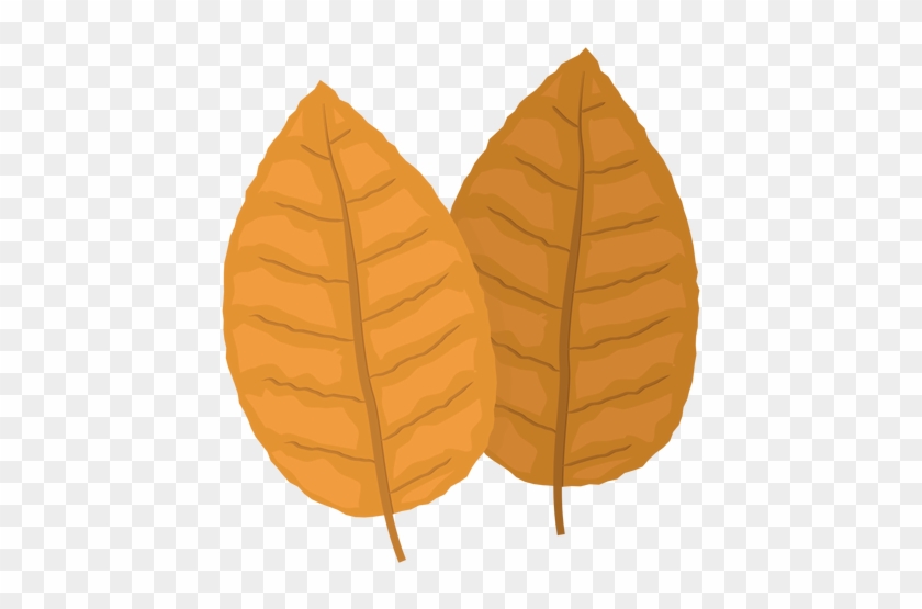 Yellow Tobacco Leaves Illustration - Tobacco Leaf Cartoon Png #1043492