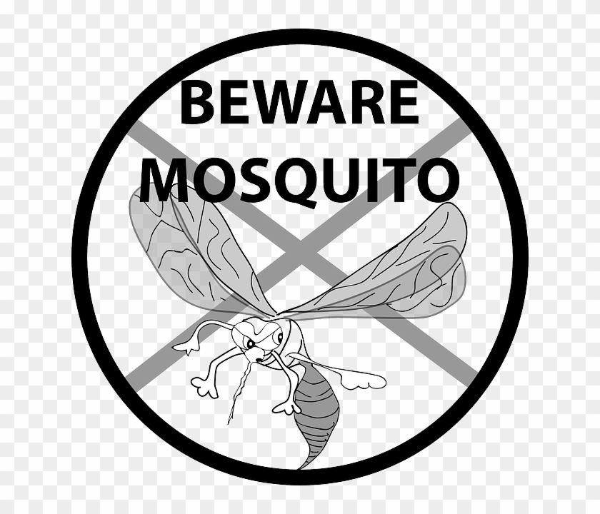 Healthcare Fixed, On To Climate Change - Mosquito Clip Art #1043560