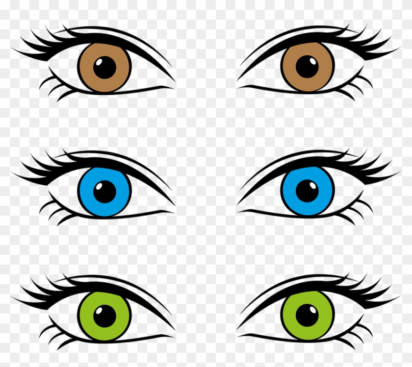 Collection Of Lizard Eyeballs Cliparts - Three Eye Colors #1043717