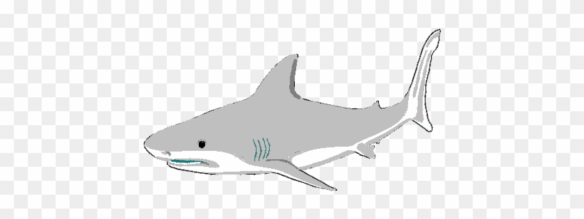 Bull Shark Clipart Invertebrate - Bullhead Shark #1043745