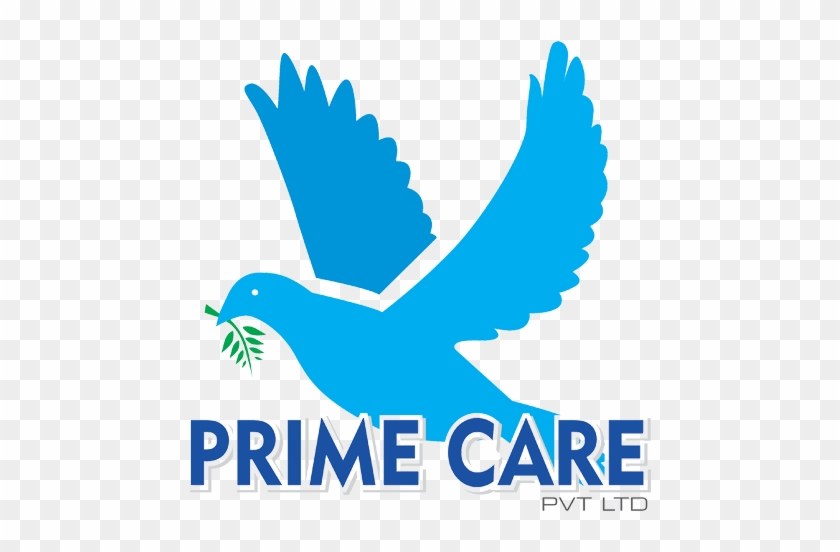 Logo - - Prokon #1043815