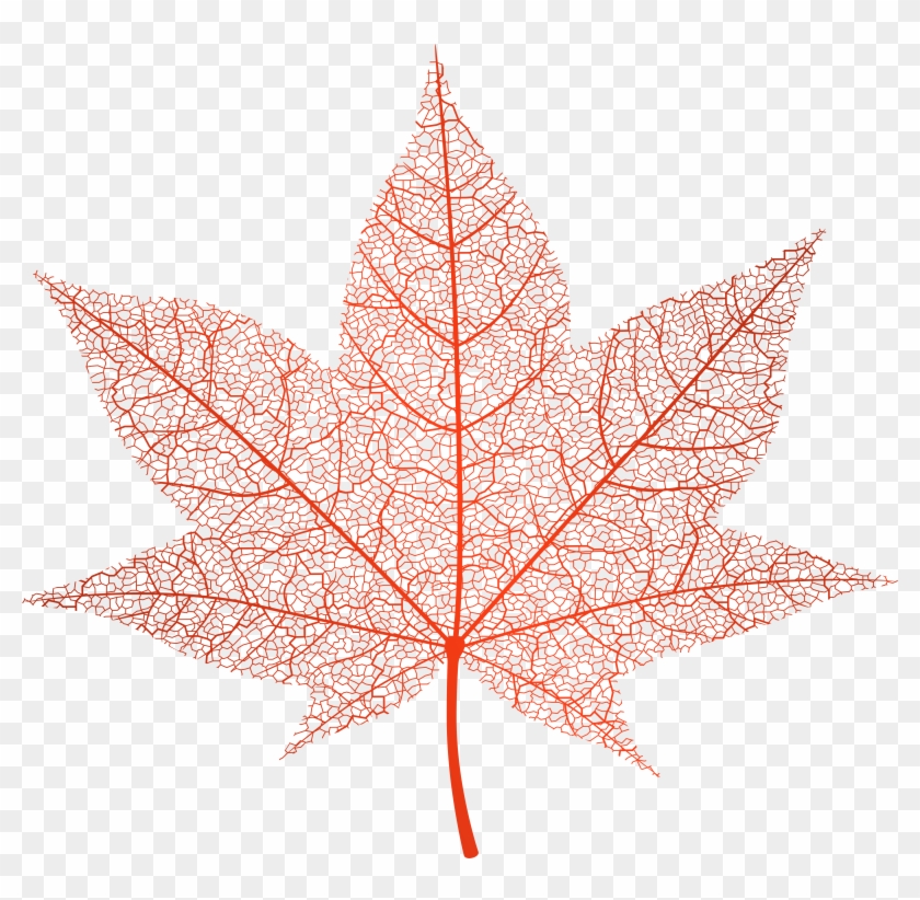 Gallery Of Maple Leaf Green Png Clip Art Image Png - Pink Autumn Leaf Png #1043831