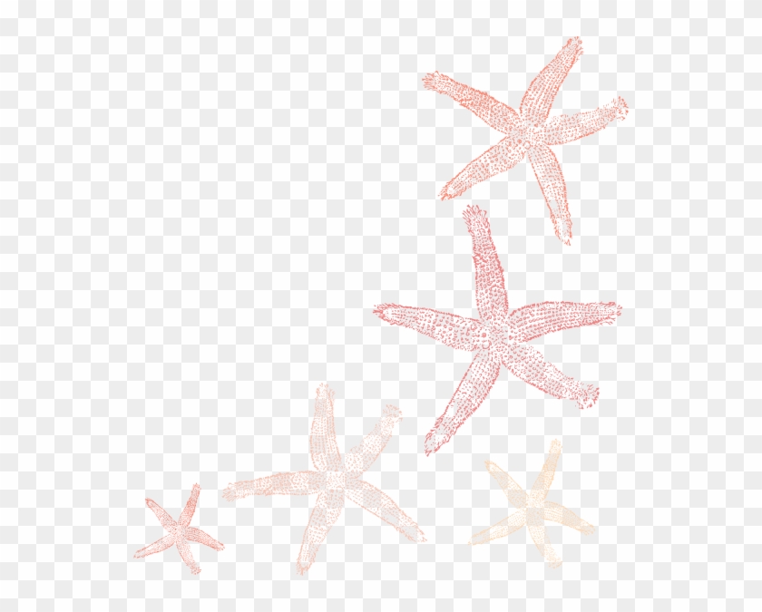Starfish Clipart Elegant - Fish Clip Art #1043872