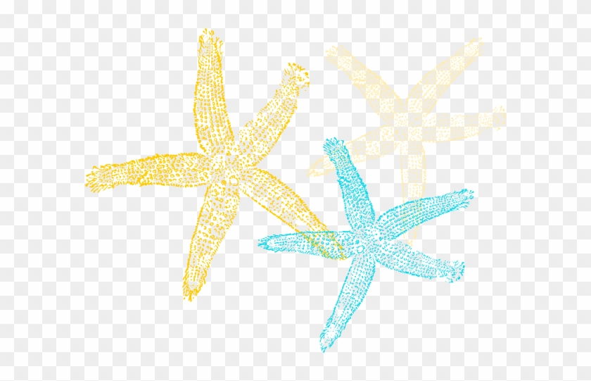 Starfish Prints Png - Sea Star Vector Png #1043880