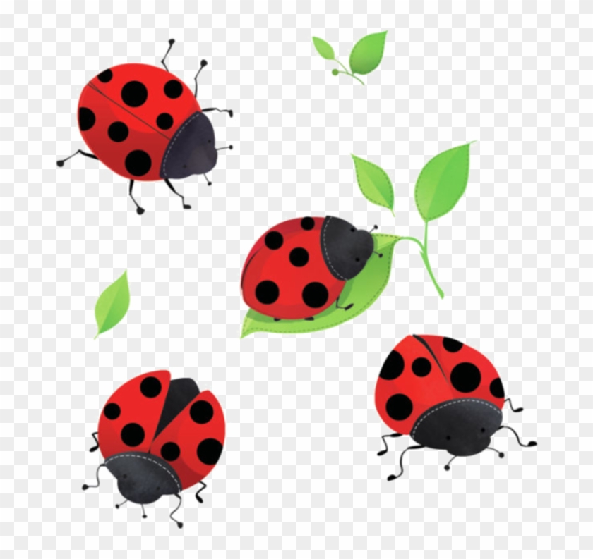 810fb22a - Ladybug #1043902