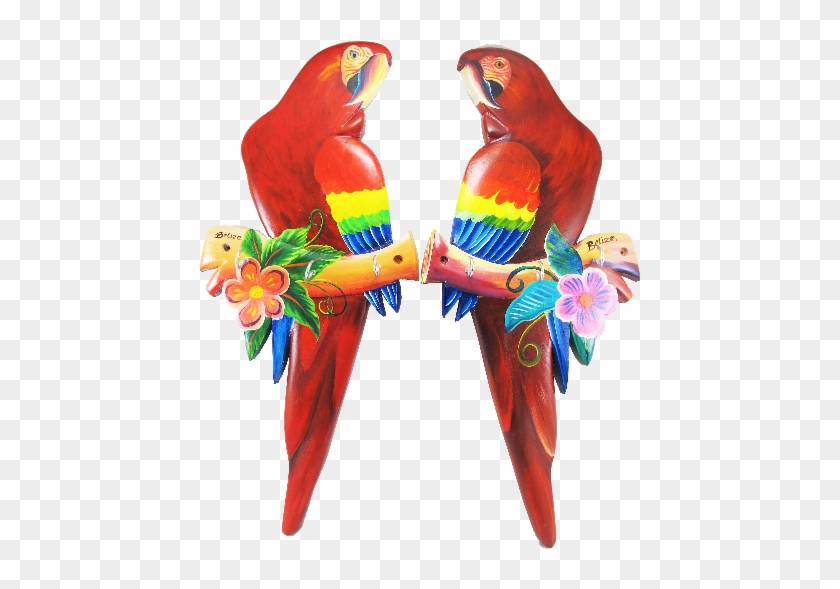 Scarlet Macaw Clipart Transparent - Scarlet Macaw #1043946