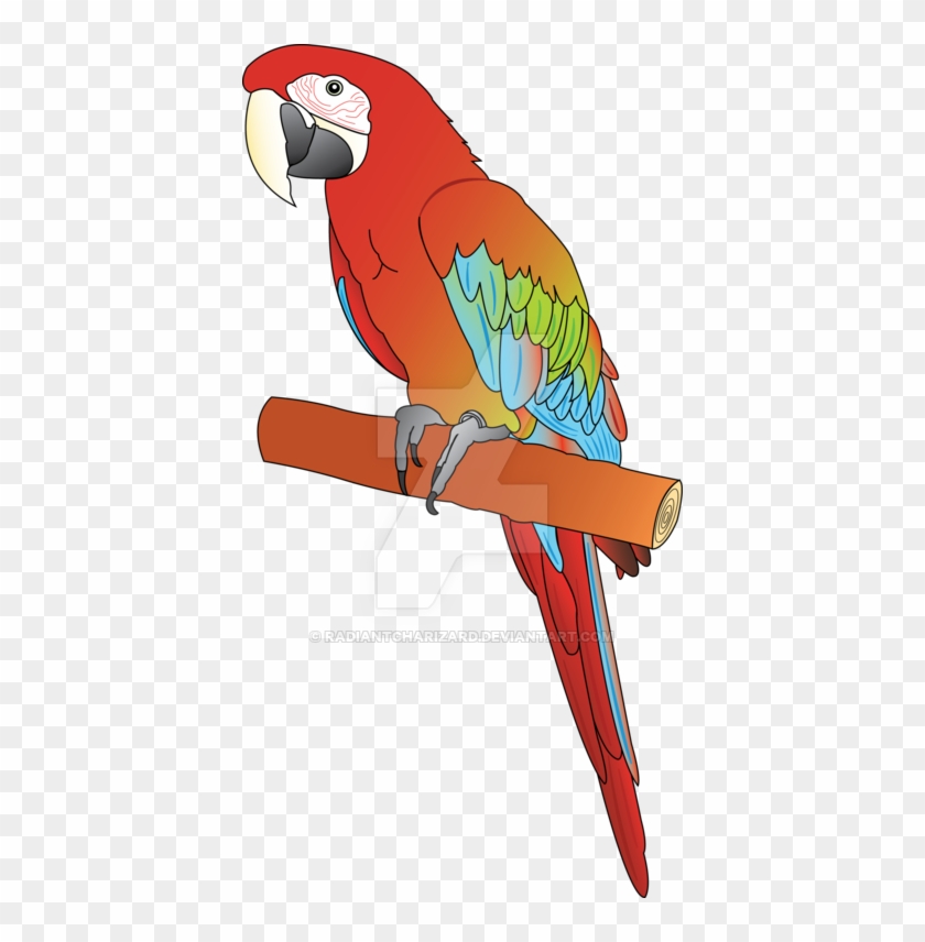 A Red Macaw Parrot Pointing Or - Clip Art #1043959